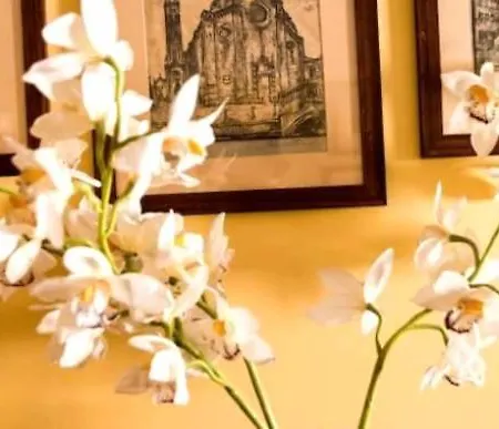 Bellissimi Appartamenti Veneziani Appartement